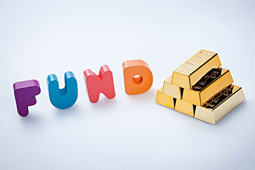 組合篩選，?；沁@樣煉成的 好買選基流程全解析與財務咨詢服務